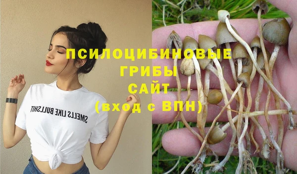 бошки Алексин