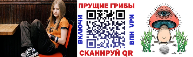 гидра tor Карасук Галлюциногенные грибы прущие грибы продажа наркотиков